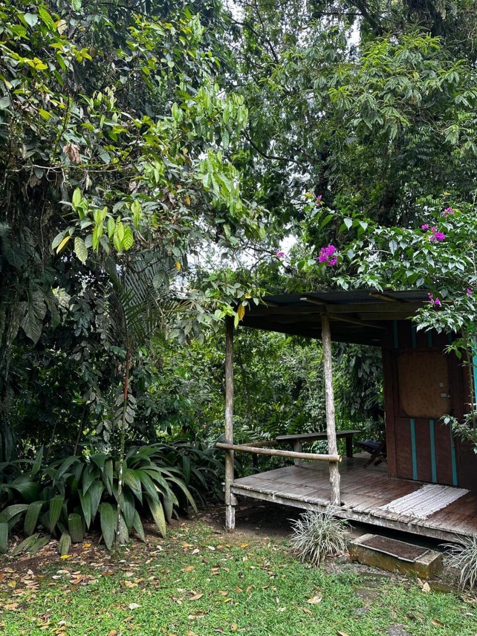 Casa Rio Blanco Eco Friendly B&B Guápiles Exterior foto