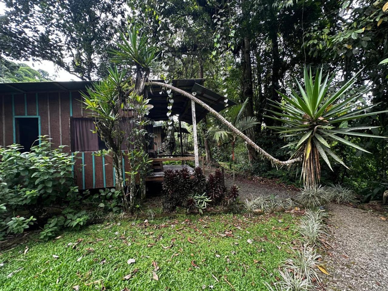 Casa Rio Blanco Eco Friendly B&B Guápiles Exterior foto