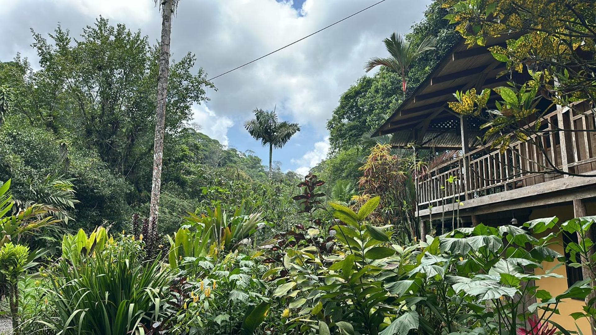 Casa Rio Blanco Eco Friendly B&B Guápiles Exterior foto